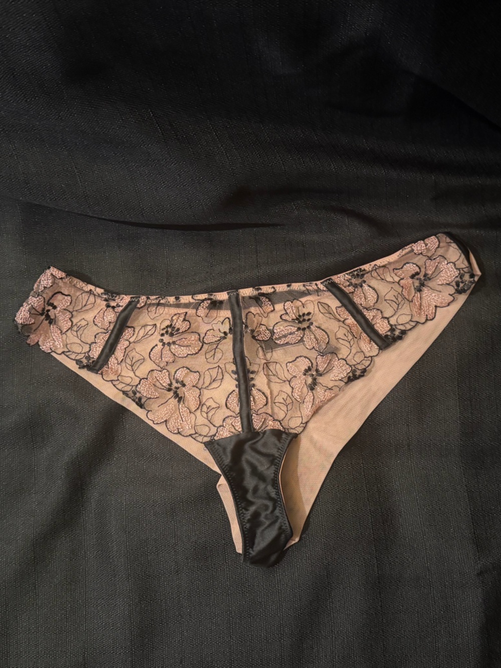 Victoria's Secret Very Sexy Pink Nude and Black Lace Bikini Panty